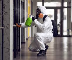 Mold Odor Removal Services in Willow Springs, MO